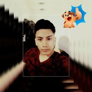 Meet your Posher, Brandon